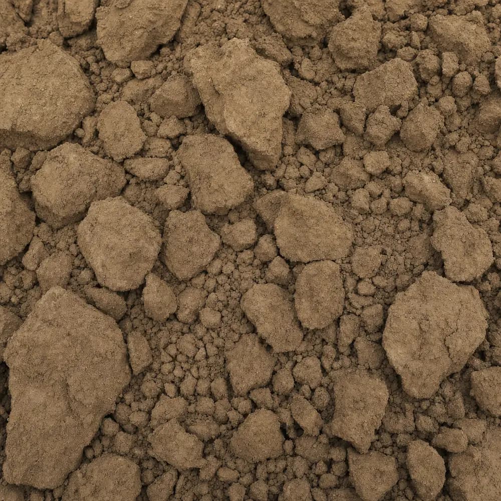 Select Fill - Image 2