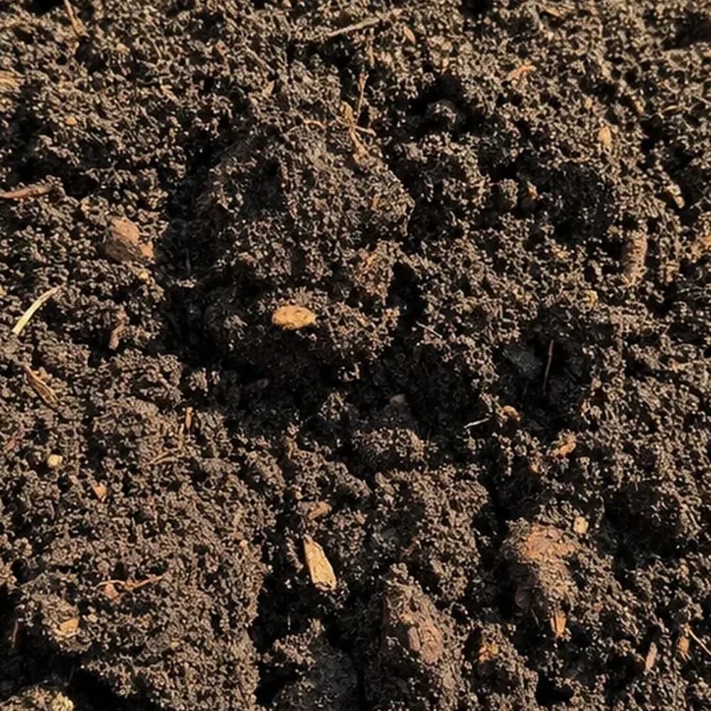Garden Soil