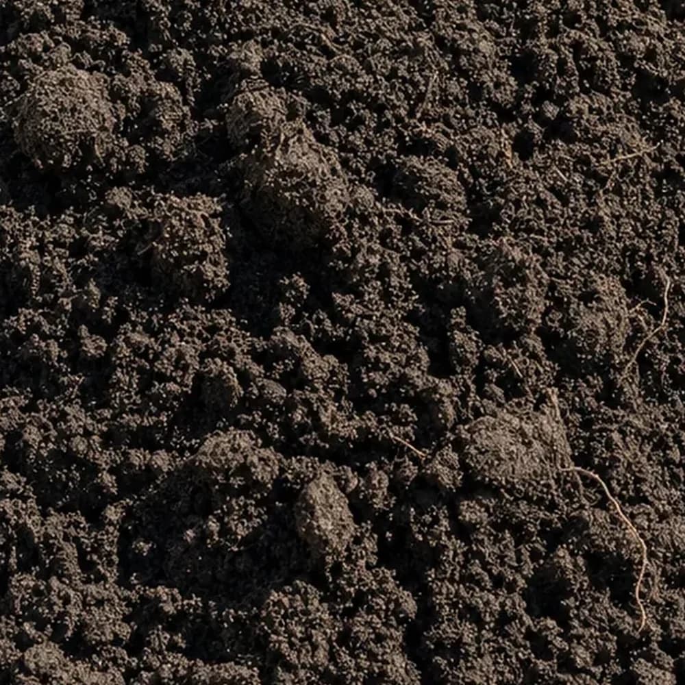 Top Soil